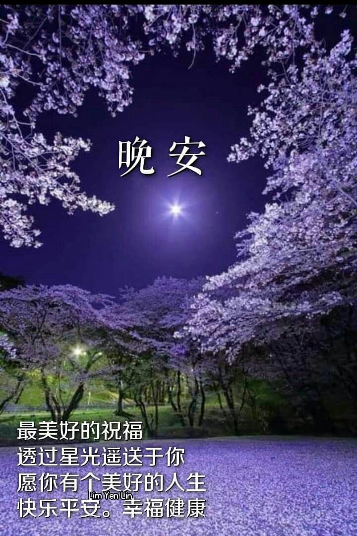 2023年免費晚安圖下載，睡覺前專用的LINE晚安圖，送給夜晚最好的朋友