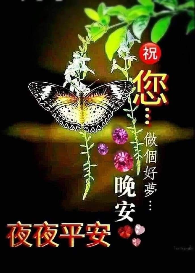 2025年免費晚安圖下載，睡覺前專用的LINE晚安圖，送給夜晚最好的朋友